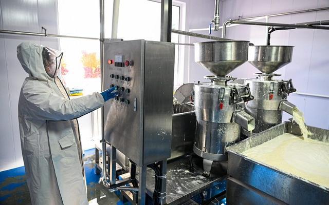“小豆腐”做出“大产业” 豆制品加工的非凡跃迁