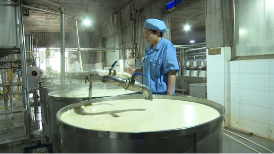 小豆子闯出大市场——元宝山区豆制品加工产业发展观察